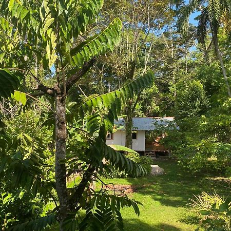 コクレス Caribbean Retreatsヴィラ エクステリア 写真