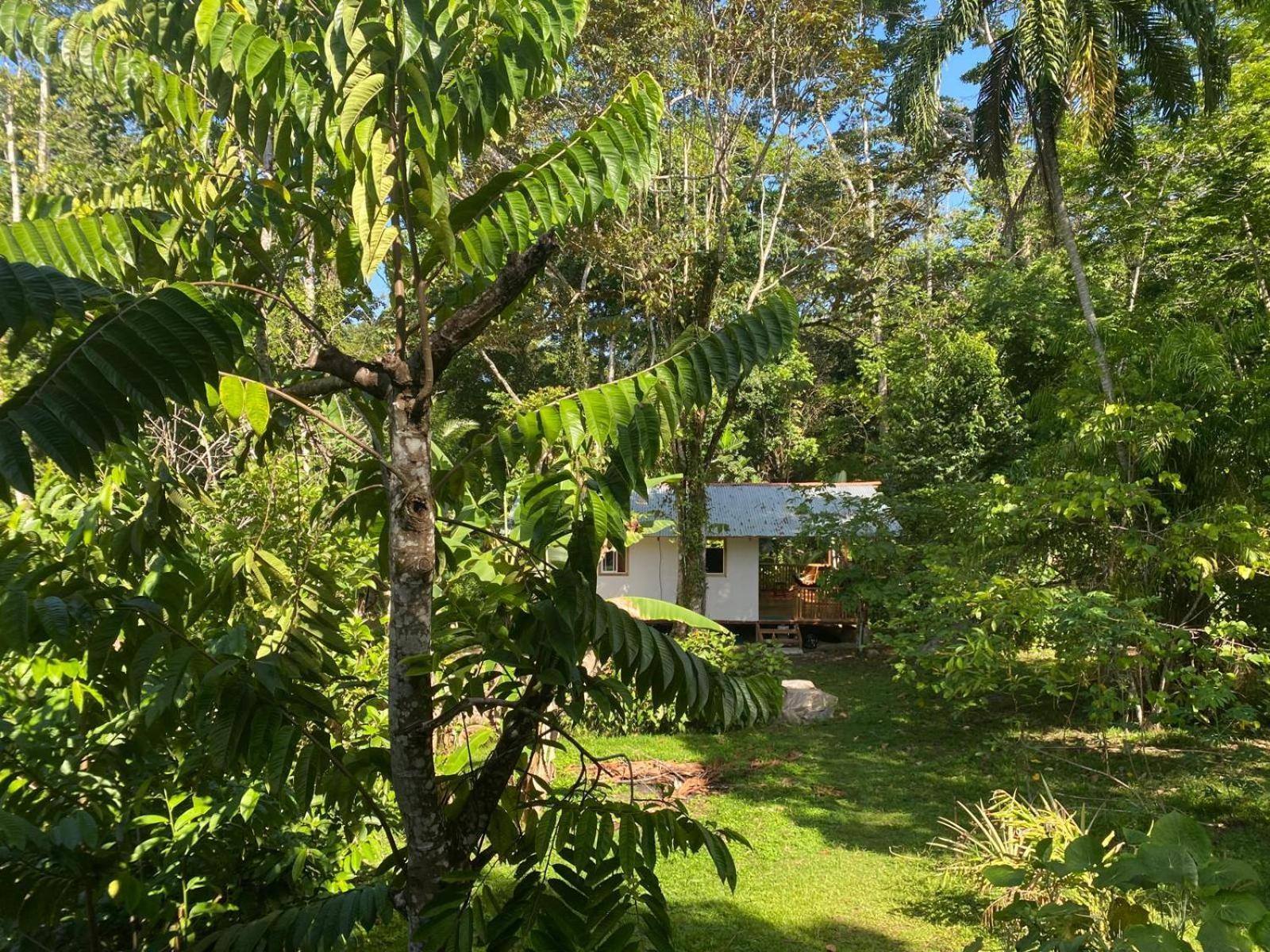 コクレス Caribbean Retreatsヴィラ エクステリア 写真